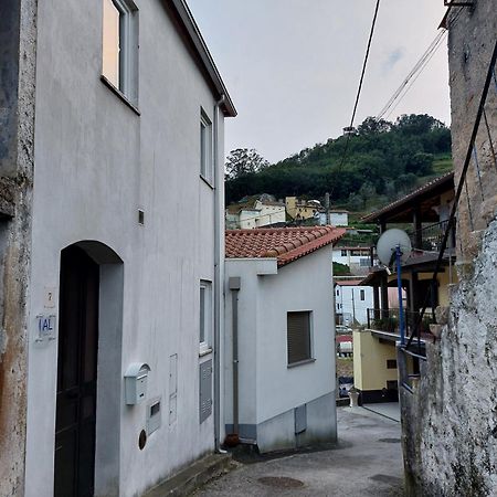 Casa Vale Do Rio Villa Penacova Eksteriør billede